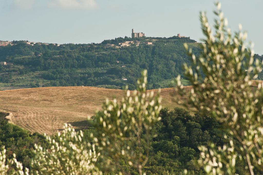 Agriturismo Podere Campaini Вольтерра Экстерьер фото